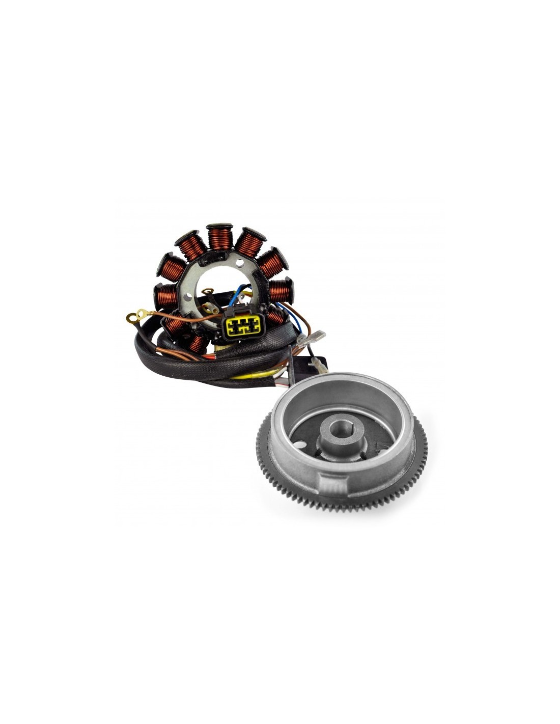 Kit Stator Flywheel Rotor Polaris Sportsman 400 OEM 3087168 3085558