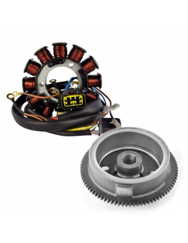 Kit Alternateur Stator Volant Magnétique Rotor Polaris ATP500 OEM 3087168 3085558 3087166 3086819 3086983