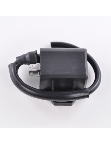 External Ignition Coil Suzuki LTA 400 KingQuad LTF 400 KingQuad  OEM 33410-41D20