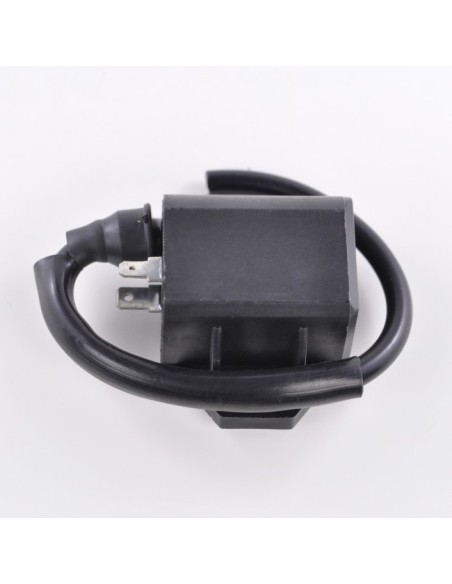 External Ignition Coil Suzuki LTA 400 KingQuad LTF 400 KingQuad  OEM 33410-41D20