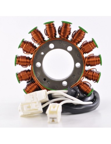 Stator Kawasaki ZG1400 Concours OEM 21003-0057 21003-0085 21003-0149