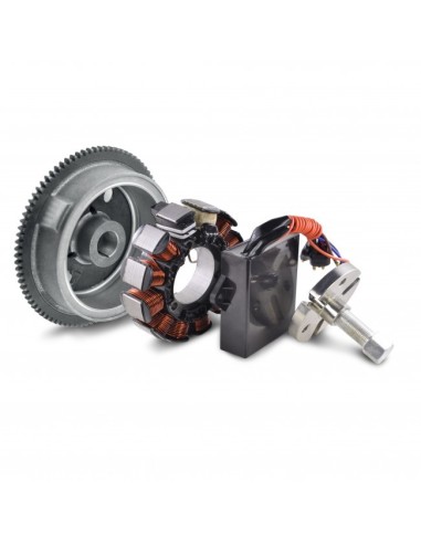 Kit Stator Flywheel Rotor Puller AC DC Ignition Conversion Kit Polaris Scrambler 500 2002