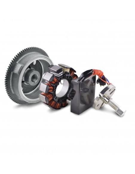 Kit Alternateur Stator Volant Moteur Extracteur Kit Conversion AC DC Polaris Scrambler 500 2002