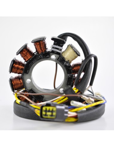 Kit Alternateur Stator Volant Moteur Extracteur Kit Conversion AC DC Polaris Scrambler 500 2002