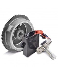 Kit Volant Moteur Extracteur Volant Kit Conversion AC DC Polaris BigBoss 500 1998-2002