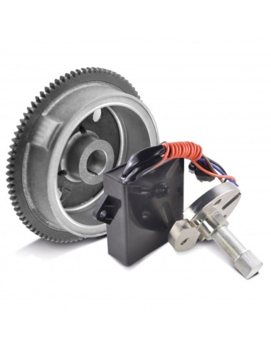 Kit Flywheel Rotor Puller AC DC Ignition Conversion Kit Polaris Magnum 500 1999-2003