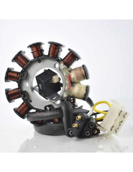 Stator Allumage Polaris 800 XCR 600 XCR 700 XCR Ultra 680  XLT 600 Touring OEM 3085602 3085603 3086147 3085601 3085614