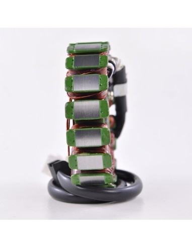 Stator Allumage Kawasaki Versys 650 OEM 21003-0118 21003-0164