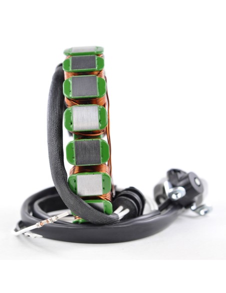 Stator Allumage Yamaha Stryker 1300 VStar 1300  VStar Tourer 1300 OEM 3D8-81410-10-00 3D8-81410-20-00