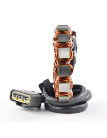 Stator Allumage Kawasaki Ninja ZX10R OEM 21003-0107