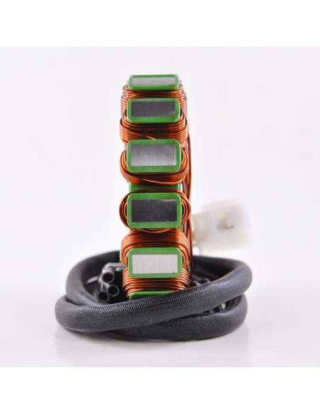 Stator Allumage Kawasaki ZX14 Ninja OEM 21003-0055 21003-0059 21003-0144 