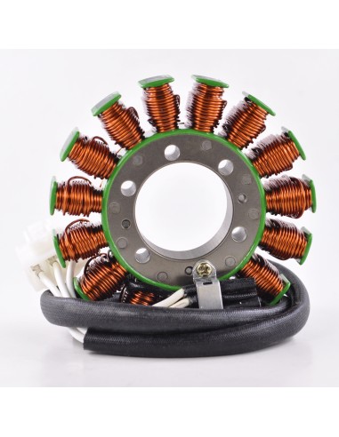 Stator Kawasaki ZX14 Ninja OEM 21003-0055 21003-0059 21003-0144 