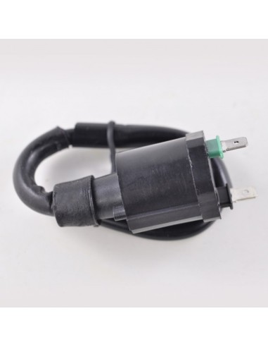 Bobine Haute Tension HT Honda TRX500 Fourtrax Foreman Rubicon OEM 30510-HN2-A20 