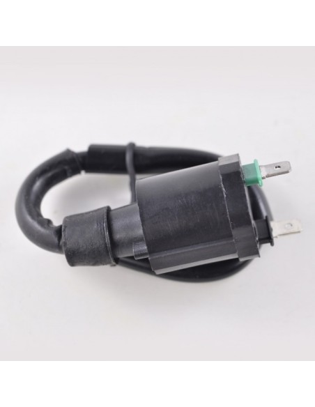 External Ignition Coil Honda TRX500 Fourtrax Foreman Rubicon OEM 30510-HN2-A20 