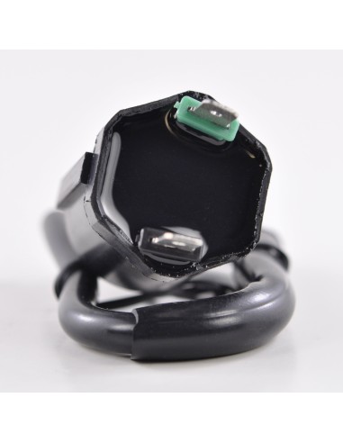 External Ignition Coil Honda TRX500 Fourtrax Foreman Rubicon OEM 30510-HN2-A20 