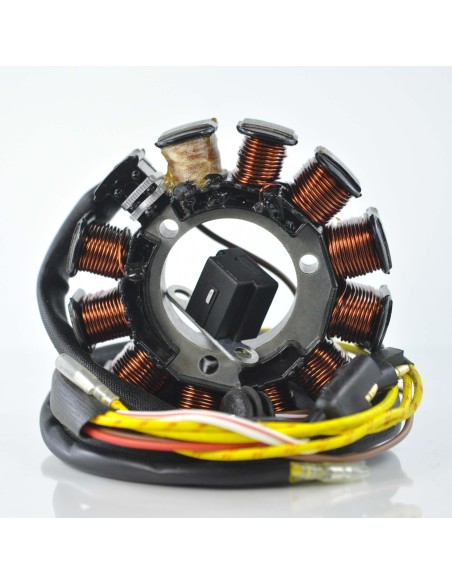 Kit Flywheel Rotor Stator Puller AC DC Ignition Conversion Kit Polaris 500 Scrambler