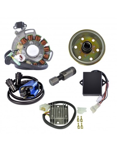Kit Rotor Stator 200 W CDI Puller Regulator Yamaha 350 Banshee OEM 3GG-85510-00-00 3GG-85510-01-00