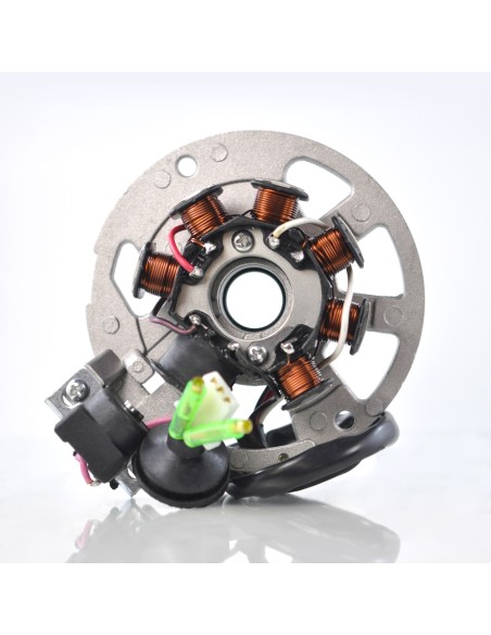 Stator Allumage Polaris Prédator 50 90 Scrambler 50 OEM 0450202 0450377 0450521 0450522 0450523 0450572 0450904 0450948