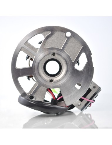Stator Allumage Polaris Prédator 50 90 Scrambler 50 OEM 0450202 0450377 0450521 0450522 0450523 0450572 0450904 0450948