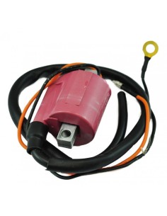 Bobine Allumage HT Polaris Scrambler 500 Sportsman 335 500 OEM 3084690 3084979 3086483 3086484 3086807 3087036