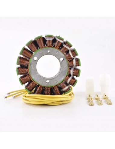 Stator Kawasaki ZN1300 Voyager OEM 21003-1064