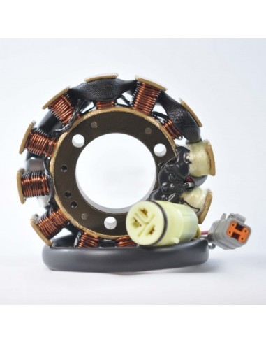 Stator Allumage SkiDoo MXZX 440 Formula III 600 700 800 Mach 1 700 Mach Z 800 OEM 410922913 410922967 410922931 410922952