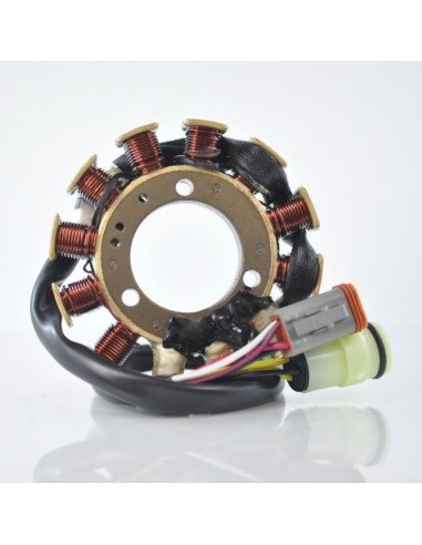 Stator - SkiDoo - Formula III 600-700-Grand Touring 700-Mach 1 700-Mach Z 800