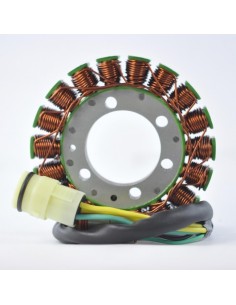Stator Allumage SkiDoo Grand Touring 600 700 800 SE Sport OEM 420888230 410922907 410920900 410922941 410923200