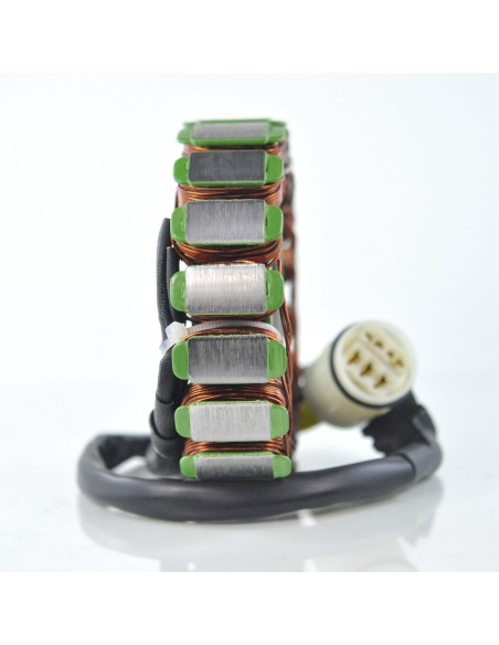 Stator Aprilia RSV1000 Tuono SL1000 Falco OEM AP0295830 