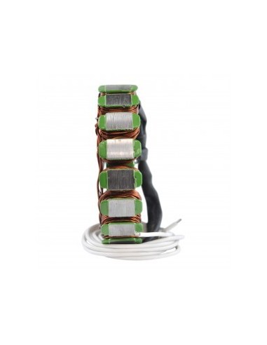 Stator Allumage BMW F650 F800 G650