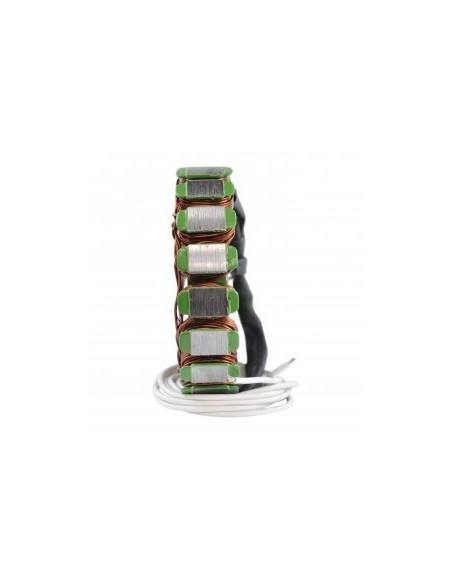 Stator Allumage BMW F650 F800 G650
