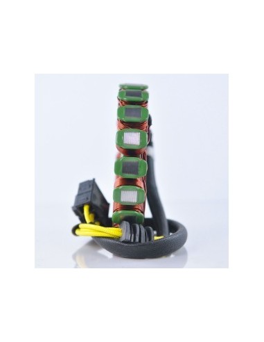 Stator Allumage Yamaha YZFR6 OEM 2C0-81410-00-00