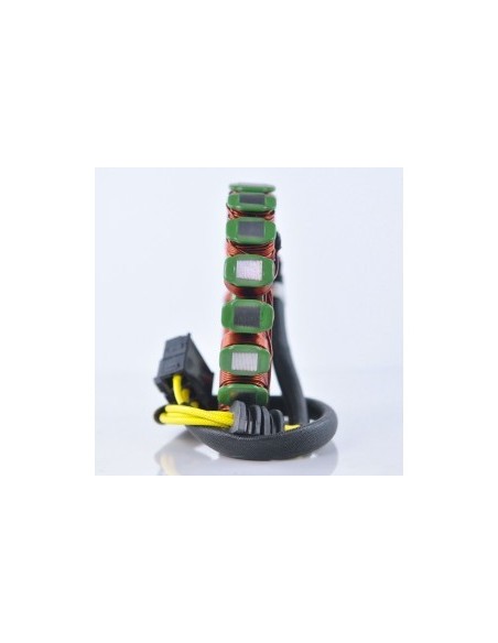 Stator Allumage Yamaha YZFR6 OEM 2C0-81410-00-00