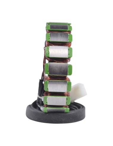 Stator Allumage Triumph Speed Triple 955 OEM T1300111 T1300509 T1300610