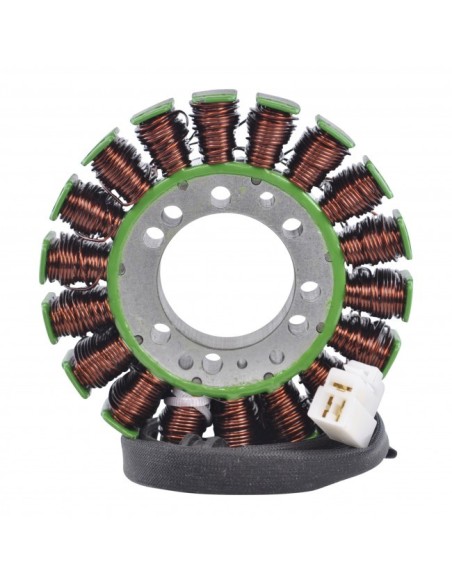 Stator Allumage Triumph Speed Triple 955 OEM T1300111 T1300509 T1300610