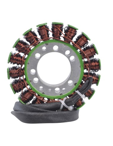 Stator Triumph Speed Triple 955 OEM T1300111 T1300509 T1300610