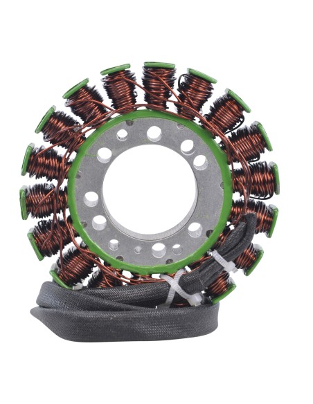 Stator Allumage Triumph Speed Triple 955 OEM T1300111 T1300509 T1300610