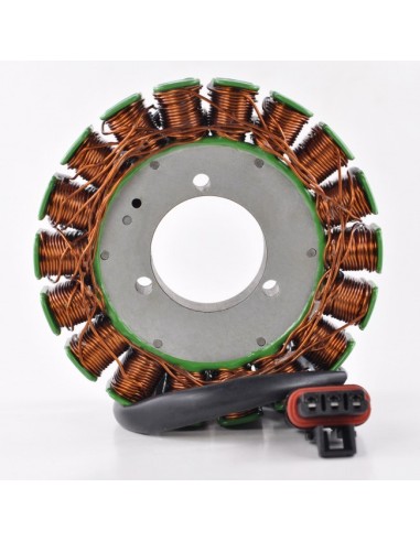 Stator Allumage Polaris Victory Hammer Vegas Kingpin Jackpot OEM 4011061 4011887 4011920 4012363 4012364 2204532
