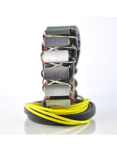 Stator Yamaha VMX1200 VMax XVZ1200 Venture XVZ1300 Venture OEM 1FK-81410-10-00 1FK-81410-11-00 26H-81410-10-00