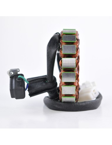 Stator Arctic Cat  250 300 OEM 3430-021