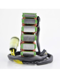 Stator CanAm DS650 OEM 420296520 2