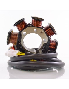 Stator Allumage Kawasaki KLF220 Bayou OEM 21003-1172 21003-1262