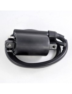 Bobine Haute Tension Kawasaki KAF620 Mule 3000 3010 3020 4000 4010 OEM 21121-0029 33410-38A20 21121-2092