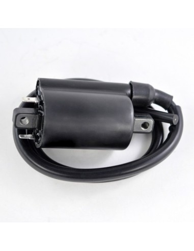 External Ignition Coil Kawasaki KAF620 Mule 3000 3010 3020 4000 4010 OEM 21121-0029 33410-38A20 21121-2092