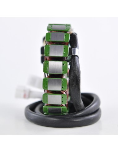 Stator Yamaha Trailway 200 TW200 OEM 4WP-85510-10-00