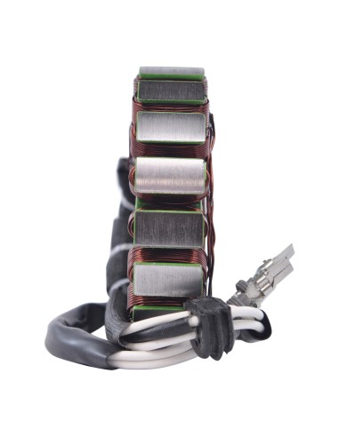 Stator Polaris RZR900 XP EFI OEM 4013224