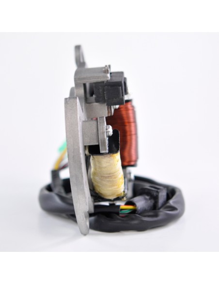 Stator Yamaha 200 Blaster OEM 2XJ-85560-M0-00 3JM-85560-00-00 5VM-85560-00-00 