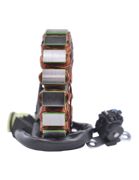 Stator Allumage Yamaha 700 Raptor OEM 1S3-81410-00-00
