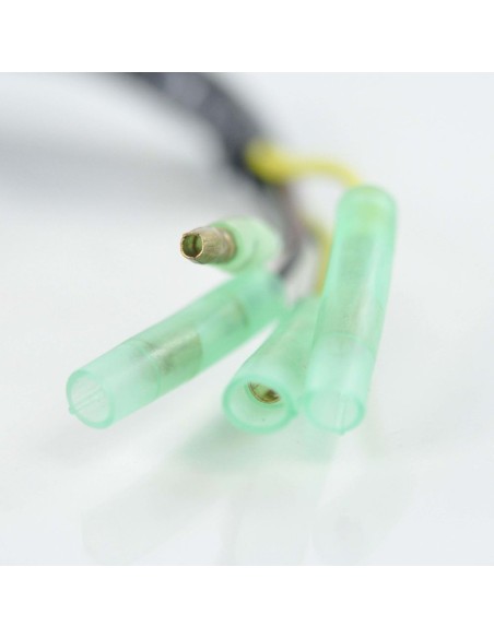 Stator Allumage SeaDoo 720SPX 580GTS 580GTX 580SP 580SPI 650XP 650XPI 720SPX OEM 290995103 290995109 420995109