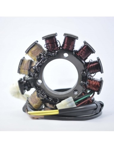 Stator Allumage Arctic Cat Mountain Cat 500 600 EFI Pantera 600EFI ZL500 EFI ZL600 EFI ZR500 EFI ZR600 EFI OEM 3005-699